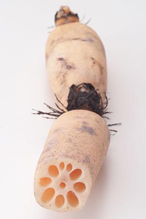 南青山で絶対に外さない！話題のつけ麺店と選び方ガイド