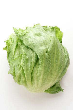 新宿サザンテラスのシェイクシャック – こだわりの味とホスピタリティを提供