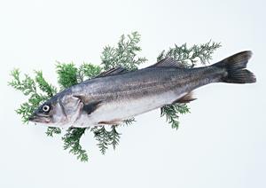 大阪のお好み焼き専門店「ぼてぢゅう」グループの魅力と店舗情報