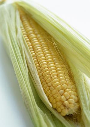 東京・上野にある居酒屋「かまどか 上野店」の魅力