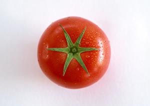 秋葉原の魅力満載!コンセプトカフェで特別な体験を楽しもう