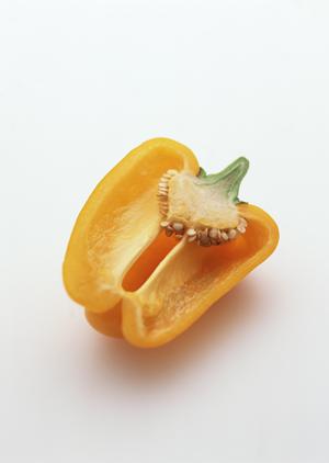 銀座で楽しむ至極の居酒屋体験!ビジネスシーンにも最適な名店ガイド