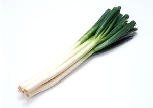 新宿で楽しむボードゲームカフェの魅力!友人との楽しい時間を過ごすための完全ガイド